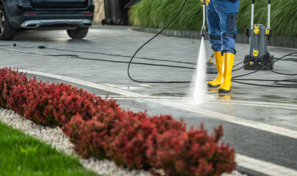 Best Driveway Pressure Washing  in San Dimas, CA